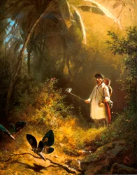 The Butterfly Catcher